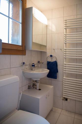 een badkamer met een wastafel, een toilet en een spiegel bij Landstrasse 153 in Klosters