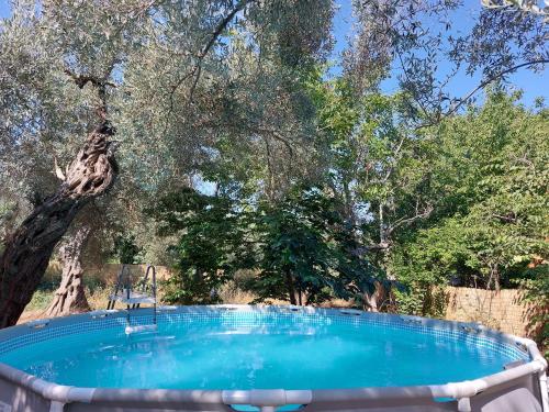 a large blue pool with trees in the background at Anthea Ecolodge Milina in Milína