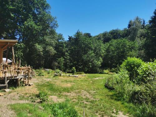 a field with trees in the background at Gîte nature Au pied des hêtres in Vitrac-sur-Montane
