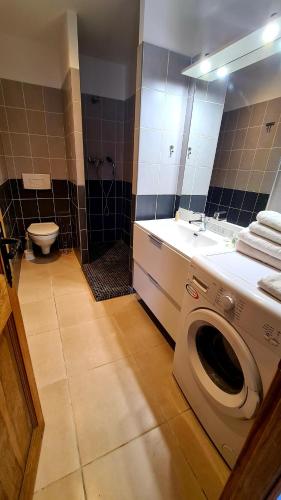 une salle de bain avec une machine à laver et un lavabo dans l'établissement Appartement Caroline, à Sotta