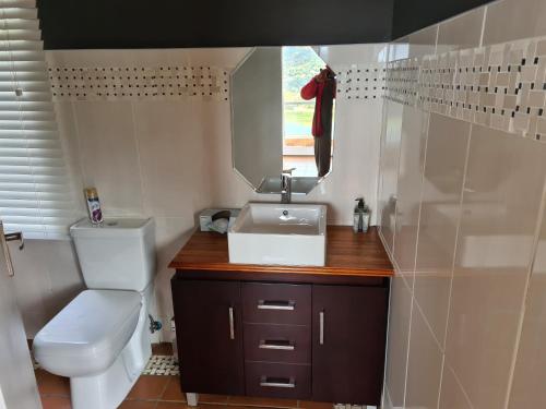 a bathroom with a sink and a toilet and a mirror at Letamong in Hartbeespoort