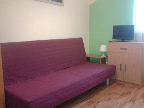 un sofá púrpura en una habitación con TV en Kwatery Noclegi pracownicze en Wilkasy