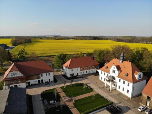 Leisnig的住宿－Ferienwohnung auf Gut Börtewitz，享有红色屋顶的大型白色房屋的空中景致