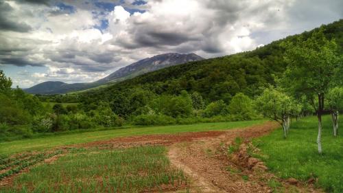 a dirt road in a field with mountains in the background at Vila Lapušnja - najam cele vikendice in Krivi Vir