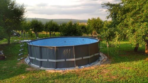 a large hot tub in a field with trees at Vila Lapušnja - najam cele vikendice in Krivi Vir