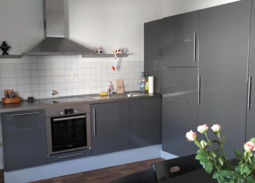 Kuchyň nebo kuchyňský kout v ubytování Siegburg Apartment 1