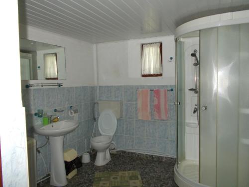 Koupelna v ubytování Conacul Grecului 1