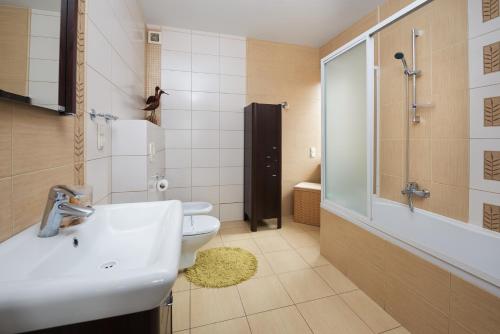 Un baño con lavabo, ducha e inodoro. en Pasja Jastrzębia Góra, en Jastrzębia Góra