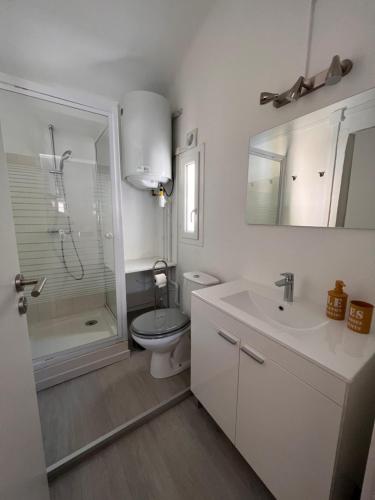 y baño con aseo, lavabo y ducha. en Studio "Le Fontaine de Vaucluse" en Fontaine-de-Vaucluse
