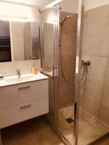 une salle de bain avec douche et lavabo dans l'établissement La Lazarenco Piscine 1, au Plan-de-la-Tour