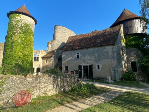 an old building with two towers and a wall at Chateau d'Ingrandes in Ingrandes