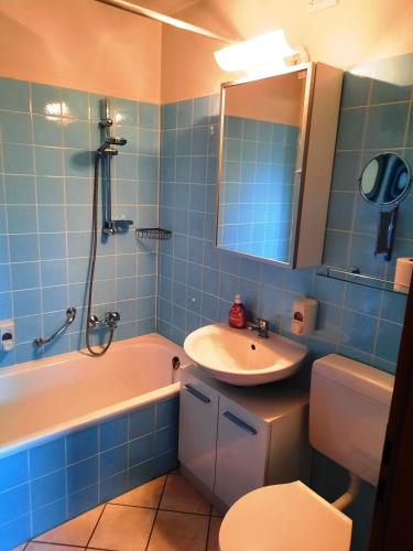 a bathroom with a sink and a tub and a toilet at Ferienwohnung Wanderkönige in Braunlage