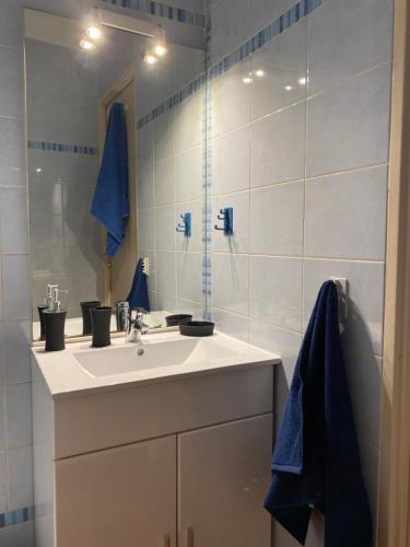 une salle de bain avec un lavabo et un miroir dans l'établissement studio climatisé avec parking, à La Londe-les-Maures