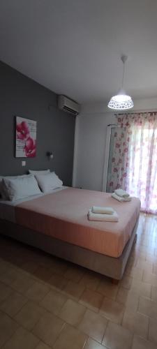 Gallery image of River Studios in Paleokastritsa