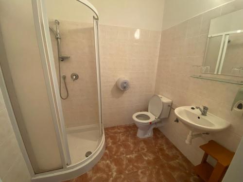 a bathroom with a shower and a toilet and a sink at Penzion Zahrada Čech in Litoměřice