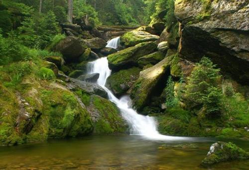 a stream of water flowing through a moss covered river at Javor apartmán na Šumavě in Železná Ruda