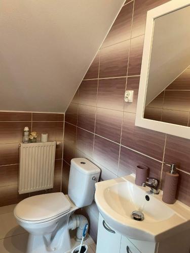 a bathroom with a toilet and a sink at Maciejówka in Grywałd