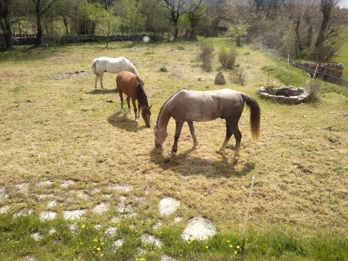 Gîte de Navacelles – Photos 5
