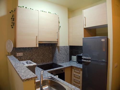 a small kitchen with a refrigerator and a sink at Grace, apartamento con terraza y vistas in Talarn