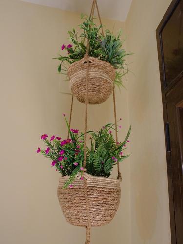 two baskets with plants hanging on a wall at Grace, apartamento con terraza y vistas in Talarn