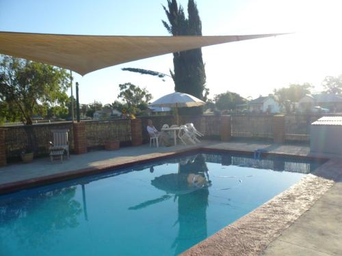 a dog is swimming in a swimming pool at Grong Grong Motor Inn in Grong Grong