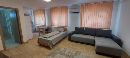 a living room with a couch and a table at Apartamente Livada in Râmnicu Vâlcea