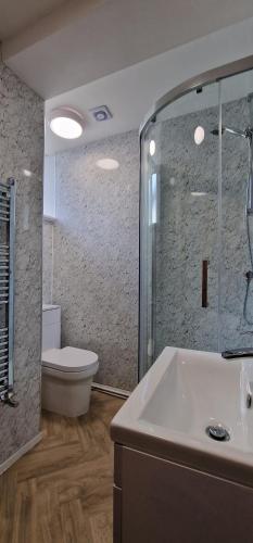 a bathroom with a toilet and a sink and a shower at Woodland Family Apartment With Electric Car Point in Windermere