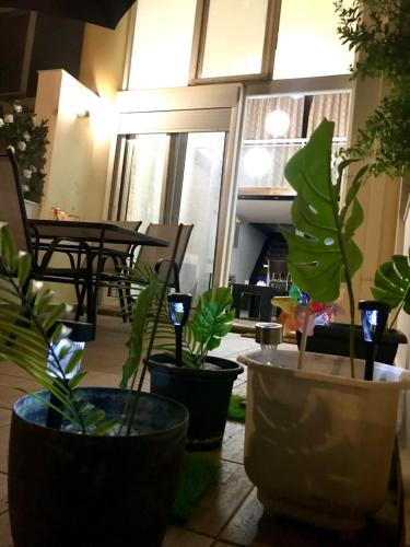 Faliraki Seadream apartment,50m from the beach