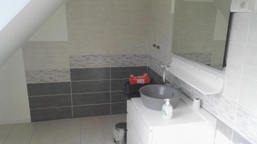 łazienka z umywalką i lustrem w obiekcie Vie et Passion w mieście Elsenheim