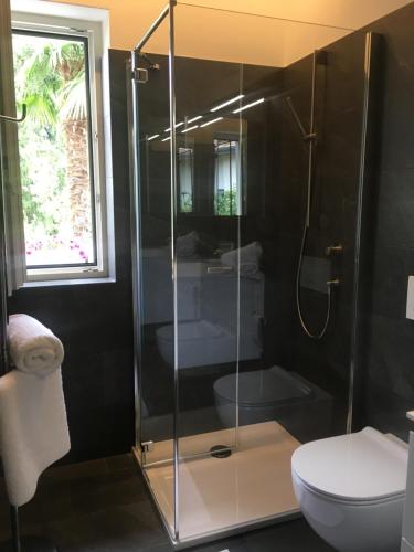 a bathroom with a glass shower and a toilet at Apartment Villa Huber in Bolzano