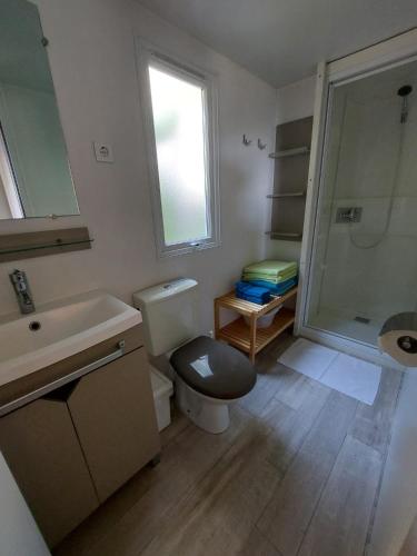 a bathroom with a toilet and a sink and a shower at Mobile home Happy days in Sveti Juraj
