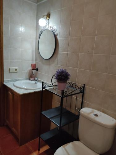 プラ・デ・ラ・エルミータにあるApartamento Ertaのバスルーム(洗面台、トイレ、鏡付)