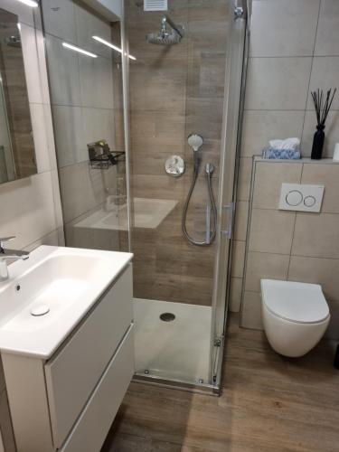 a bathroom with a shower and a toilet and a sink at Appartement Sincfala in Knokke-Heist