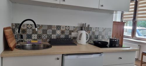 a kitchen counter with a sink and a mixer at ŁOMIANKOWA DOLINA Wetlina 112 in Wetlina