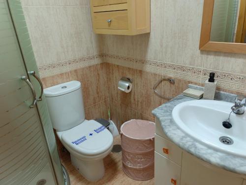 a bathroom with a toilet and a sink at A PONTE in Padrón