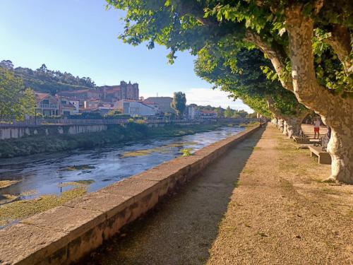 a row of trees next to a river at A PONTE in Padrón