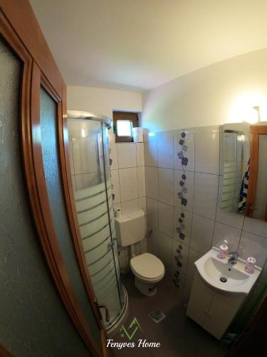 a small bathroom with a toilet and a sink at Fenyves Home in Izvoare