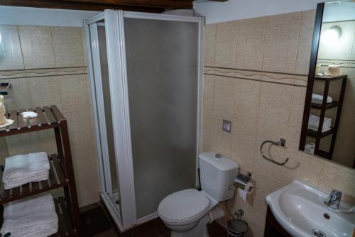 a bathroom with a shower and a toilet and a sink at Zangoulos Villa in Kakopetria