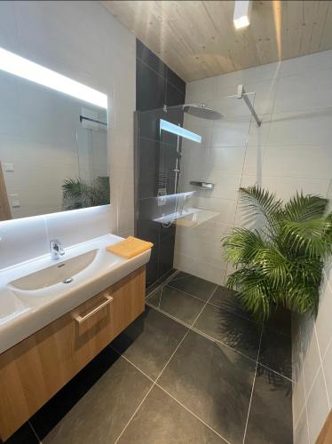 a bathroom with a sink and a mirror and a plant at Apartment Goaßa - Familie Zehner in Göriach
