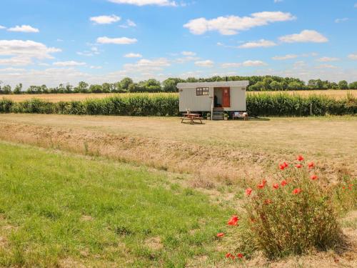 Sweet Caroline Shepherds Hut – Photos 2
