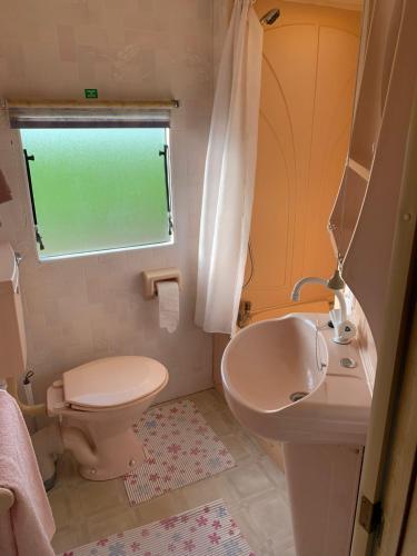 a bathroom with a toilet and a sink and a window at stacaravan Mientje in Hantum