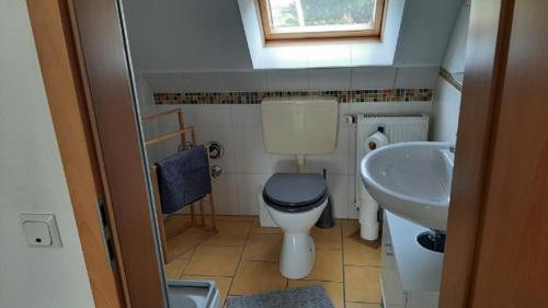 a small bathroom with a toilet and a sink at Hof an der Semkenfahrt - Adele in Worpswede