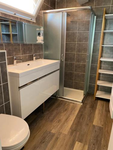 La salle de bains est pourvue de toilettes, d'un lavabo et d'une douche. dans l'établissement Jolie Villa climatisée piscine chauffée Perpignan, à Perpignan