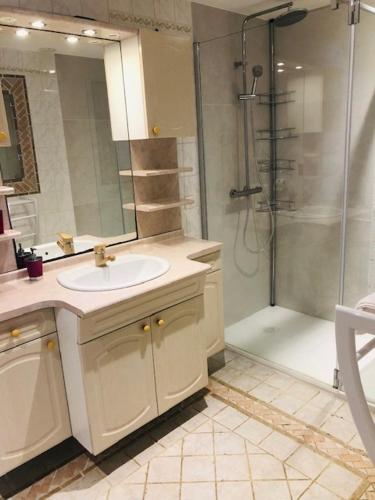 a bathroom with a sink and a shower at Résidence Villa Nova in Tiuccia