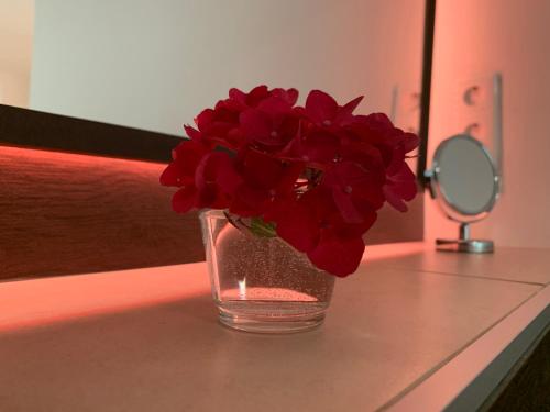 a glass vase filled with red flowers sitting on a counter at Pension Gesundbrunnen in Müglitztal