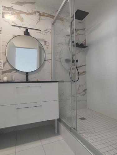 コンカルノーにあるLA SUITE appartement pleine vue merのシャワーと鏡付きのバスルーム