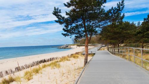 a path to the beach with a tree on it at Fewos Familie Krysik in Lühmannsdorf