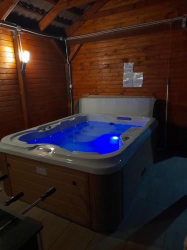 a large blue bath tub in a room at Vadrózsa Vendégház-Apartman in Demjén