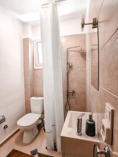 a small bathroom with a toilet and a shower at TIP TOP apartment in Chalkida