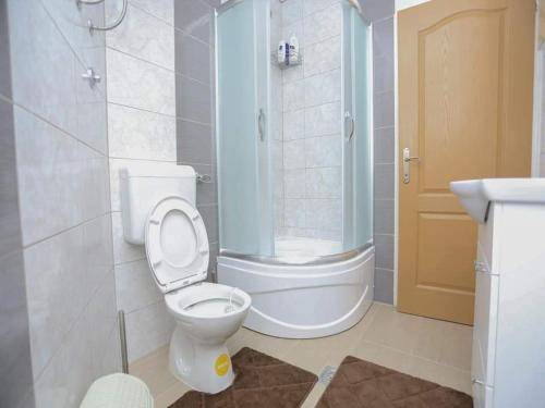 a bathroom with a toilet and a shower and a sink at Apartman Maida in Blagaj